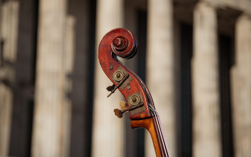 online double bass lesson