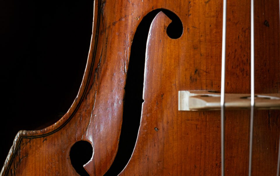 newsletter comunidad de contrabajo