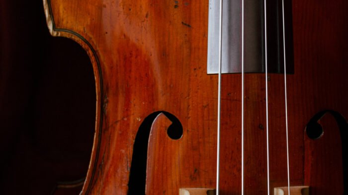 double bass video and study tips articulation