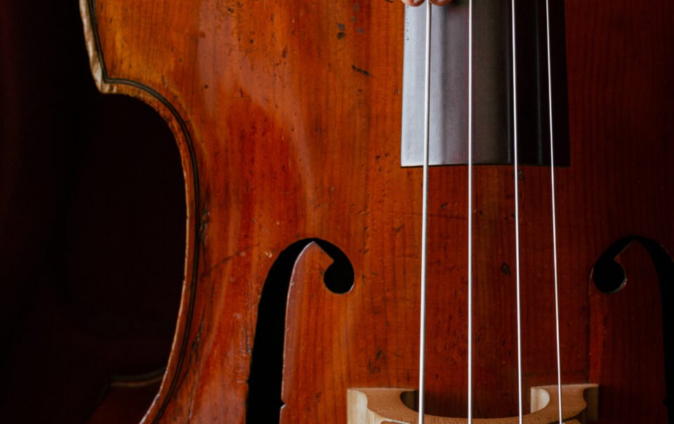 videos de contrabajo y tips para estudiar