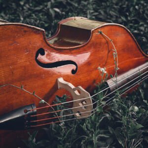 Todas las escalas (sin aburrirte)