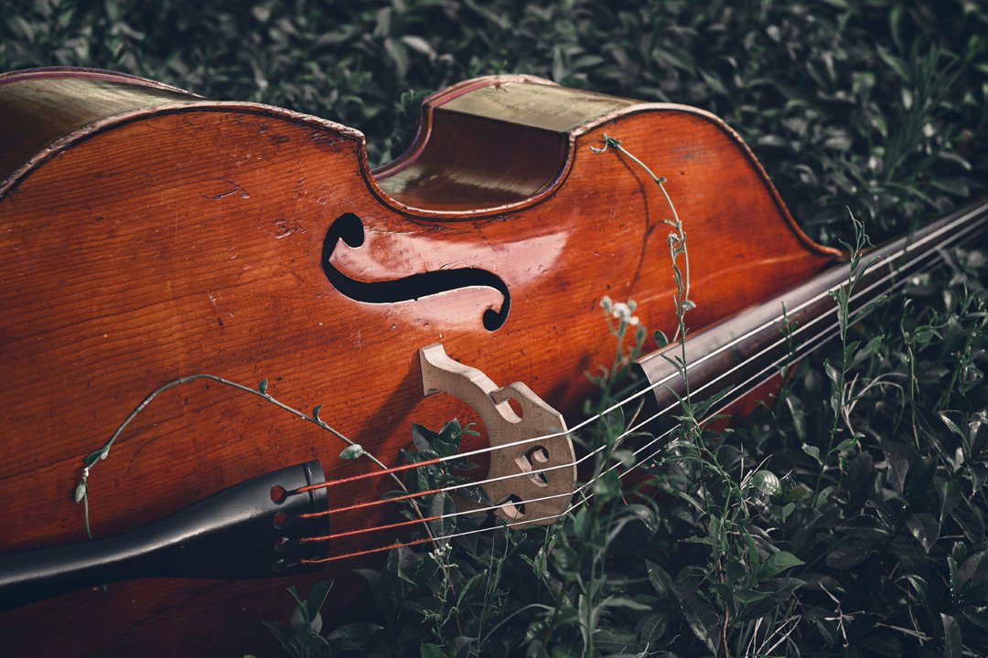 Todas las escalas (sin aburrirte)