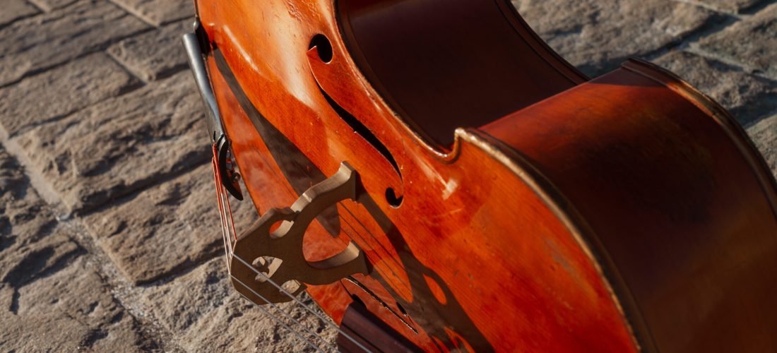 7E465A19-A4CE-4224-BAEF-1CF2C233C2B6 double bass pivote technique